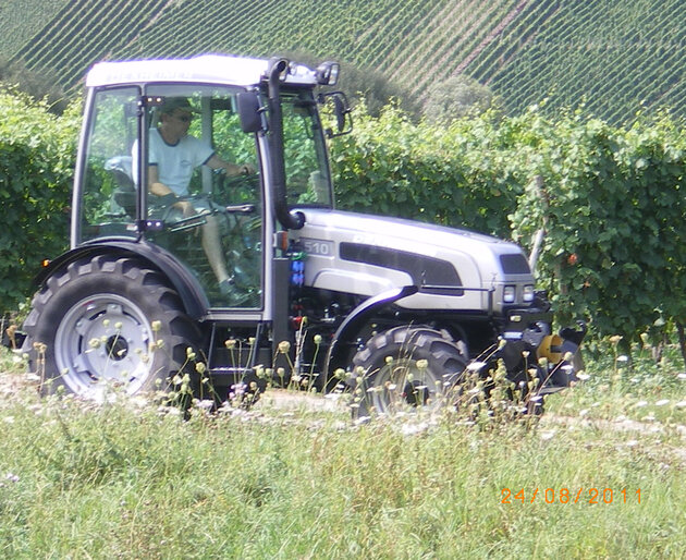 Silberner Traktor auf naturbelassener Wiese